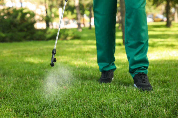 Best Termite Control Services  in Lake Ronkonkoma, NY