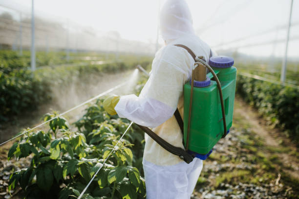 Best Pest Prevention Services  in Lake Ronkonkoma, NY
